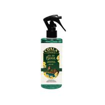 Odorizador de Ambientes e Tecidos Coala 260ml Spray Perfumado Diversas Fragrâncias Sofá Casa Odorizador de Ambientes e Tecidos Coala 260ml Spray Perfumado Diversas Fragrâncias Sofá Casa