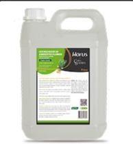 ODORIZADOR DE AMBIENTES FLOWER 5L Aroma Capim Limão