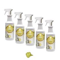 Odorizador Perfumador Spartan Air Essence Chá Branco Kit 5