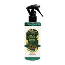 Odorizante Coala Spray Para Ambientes e Tecidos Sol do Brasil 260ml Odorizante Coala Spray Para Ambientes e Tecidos Sol do Brasil 260ml