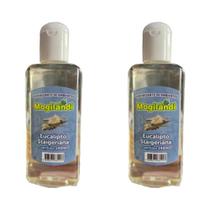 Odorizante de Ambiente Mogilândi Essência Eucalipto Staigeriana 140ml Kit 2 unidades