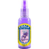 Odorizante De Ambientes Spray 120ml Coala Lavanda Odorizante De Ambientes Spray 120ml Coala Lavanda