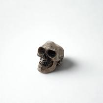 Ofertório Exu Caveira Envelhecida Em Resina 4,5 Cm Ofertório Exu Caveira Envelhecida Em Resina 4,5 Cm