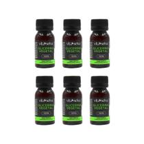 Oleo Capilar Vegetal Vita Seiva Glicerina 30Ml-Kit C/6Un Oleo Capilar Vegetal Vita Seiva Glicerina 30Ml-Kit C/6Un
