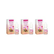 Oleo Corporal Rosa Mosqueta Epile 10Ml - Kit Com 3Un Oleo Corporal Rosa Mosqueta Epile 10Ml - Kit Com 3Un