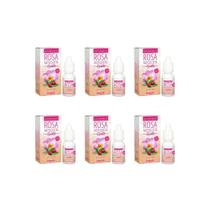 Oleo Corporal Rosa Mosqueta Epile 10Ml - Kit Com 6Un Oleo Corporal Rosa Mosqueta Epile 10Ml - Kit Com 6Un