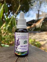 Óleo de Lavanda pronto para a pele 30ml WNF Óleo de Lavanda pronto para a pele 30ml WNF