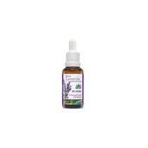 Óleo de Lavanda pronto para pele 30ml
