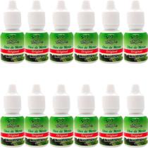 Óleo de Menta San Jully Menta Pura Frasco 10ml Kit 12 Unidades