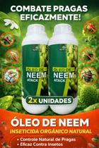Óleo De Neem Concentrado 1 Litro Puro Nem 2 Unidades