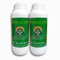 Òleo de neem Concentrado 2litros, solução perfeita para suas plantas saúdaveis! Òleo de neem Concentrado 2litros, solução perfeita para suas plantas saúdaveis!