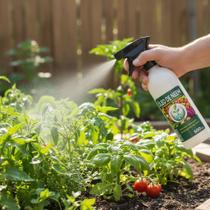 Óleo de Neem Pronto para Uso 500ml Controle Natural de Pragas para Hortas e Plantas