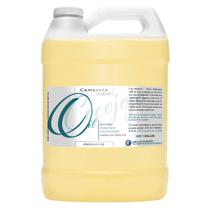 Óleo de semente de camélia Dr. Joe Lab 3,8 L prensado a frio não refinado
