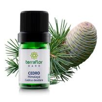 Óleo Essencial Cedro Himalaya Terra Flor 5ml Cert. Ibd - Terra Flor Aromaterapia