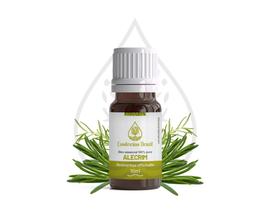 Óleo Essencial de Alecrim 10ml - Alivia o Cansaço, Estimula a Concentração e a Memória
