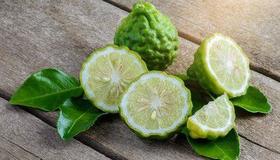 Óleo Essencial de Bergamota 10ML