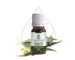 Óleo Essencial de Eucalipto Glóbulus 10ml - Fortalece a Respiração, o Foco e a Assertividade Óleo Essencial de Eucalipto Glóbulus 10ml - Fortalece a Respiração, o Foco e a Assertividade