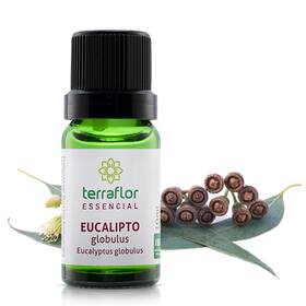 Óleo Essencial de Eucalipto Glóbulus 10ml - Terra Flor Aromaterapia