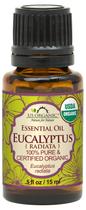 Óleo essencial de eucalipto orgânico americano Radiata 15 mL/0,5 fl oz