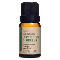 Óleo Essencial de Eucaliptus Globulus 10ml - Via Aroma Óleo Essencial de Eucaliptus Globulus 10ml - Via Aroma