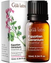 Óleo Essencial de Gerânio Egípcio Gya Labs 10 ml Óleo Essencial de Gerânio Egípcio Gya Labs 10 ml