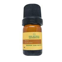 Óleo Essencial de Olíbano 5ml Pura Botânica 100 Puro, Vegano e Cruelty Free Aromaterapia e Bem Estar Óleo Essencial de Olíbano 5ml Pura Botânica 100 Puro, Vegano e Cruelty Free Aromaterapia e Bem Estar