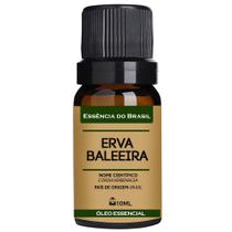 Óleo Essencial Erva Baleeira 10ml - Puro e Natural