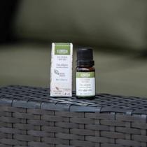 Oleo Essencial Eucalipto 10ml Oleo Essencial Eucalipto 10ml