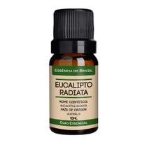 Óleo Essencial Eucalipto Radiata 10ml - Natural e Puro Óleo Essencial Eucalipto Radiata 10ml - Natural e Puro