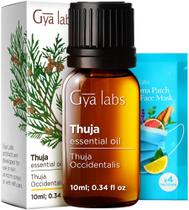 Óleo Essencial Gya Labs Thuja 10 ml para Aromaterapia Pura Óleo Essencial Gya Labs Thuja 10 ml para Aromaterapia Pura