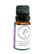 Óleo Essencial Lavanda Angustifolia 10Ml, Geotipo Amparo, Sp