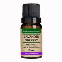 Óleo Essencial Lavandim Grosso 30ml - Puro E Natural -oferta Óleo Essencial Lavandim Grosso 30ml - Puro E Natural -oferta