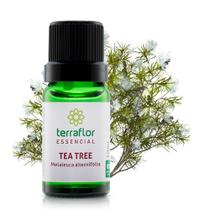 Óleo Essencial Melaleuca - Tea Tree 10ml - Terra Flor Aromaterapia