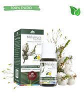 Óleo Essencial Melaleuca WNF