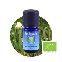 Oleo Essencial Orgânico 5ML Oleo Essencial Orgânico 5ML