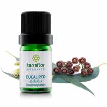 Óleo Essencial Terra Flor de Eucalipto Globulus Orgânico 5ml