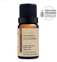 Oleo Essencial Via Aroma 100 Puro Vegano 10ml Gengibre