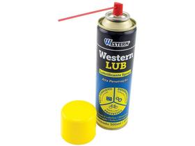 Oleo lubrificante 300ml - wl-9918