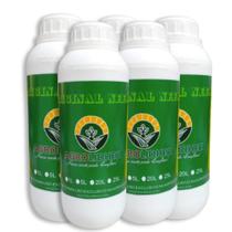 Óleo Nim/neem Concentrado - Cx 5 Lt Rende 1500 Litros - AGROLIDHER