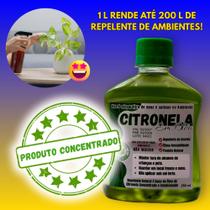 Óleo - Óleo de Citronela para tochas, Lampião e Lamparinas repelentes - 1 x 250ml + 1 Mini Lamparina Óleo - Óleo de Citronela para tochas, Lampião e Lamparinas repelentes - 1 x 250ml + 1 Mini Lamparina