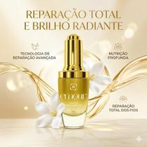 Óleo Reparador Capilar Absolut Oil Emour 30 Ml Repair Óleo Reparador Capilar Absolut Oil Emour 30 Ml Repair
