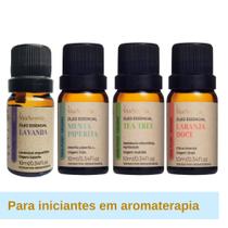 Óleos Essenciais Para Iniciantes na Aromaterapia Via Aroma