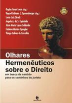 Olhares hermeneuticos sobre o direito