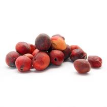 Olho De Gato Desidratado p/ Decoração Olho De Gato Desidratado p/ Decoração