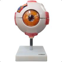 Olho Humano Ampliado Dividido Em 7 Partes Olho Humano Ampliado Dividido Em 7 Partes