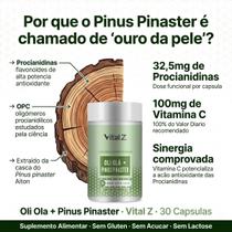 Oli Olá Pinus Pinaster 30 Cápsulas Vital Z Oli Olá Pinus Pinaster 30 Cápsulas Vital Z