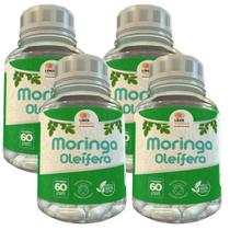 Olipera Moringa Caps - 60 Caps 500Mg Kit Com - 4 Potes Olipera Moringa Caps - 60 Caps 500Mg Kit Com - 4 Potes