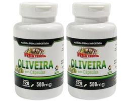 Oliveira 240 Cápsulas de 500mg Matéria Prima Importada