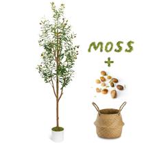 Oliveira artificial Luce Alberi 6 pés com plantador e cesta