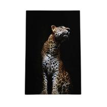 Onça Pintada Fotografia Minimalista Quadro Canvas 60X40Cm